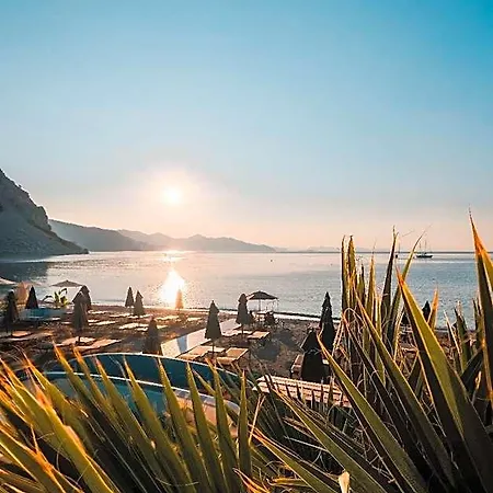 Diplomat Turunc Marmaris